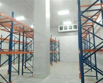 Zhexue Vaccine Storage