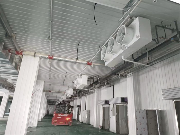 product-700-525 product-700-525